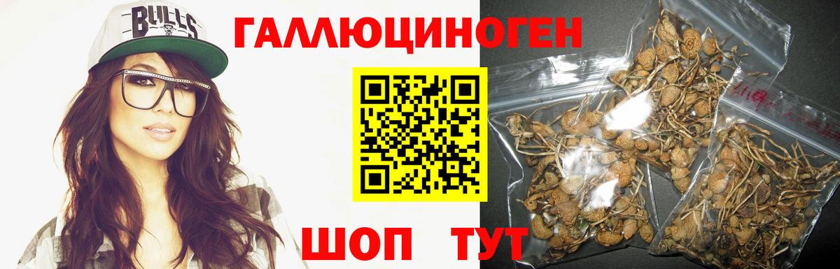 Псилоцибиновые грибы GOLDEN TEACHER Мариинск